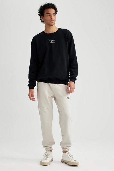 DeFacto Crew Neck Printed Regular Fit Sweatshirt - A7462ax23au