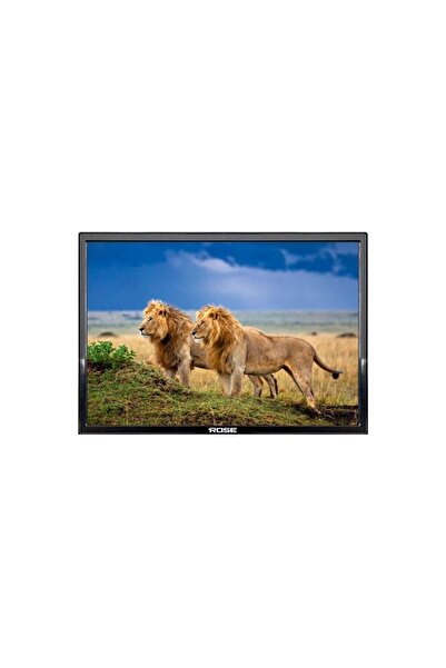 Rose 19"inch 49 Ekran HD LCD Çok Amaçlı Monitör Tv Dahili Hoparlör + Kumanda