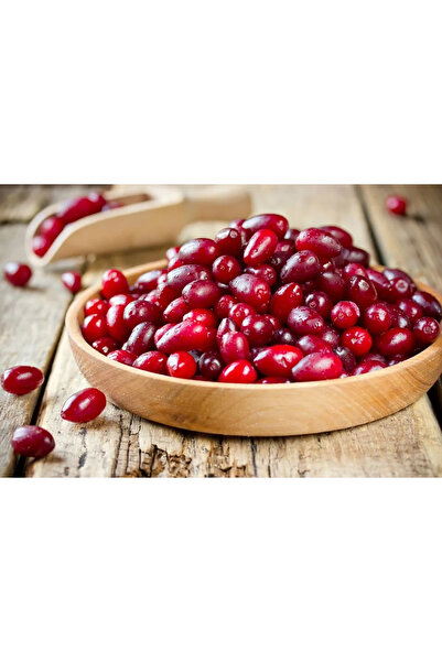 Genel Markalar Zonguldak Yöresi Kızılcık Meyvesi Kiren Doğal Organik Orman Me...