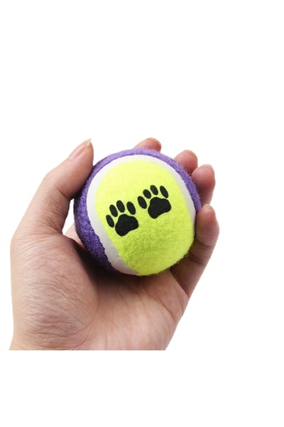 Mixpet Tenis Topu Orta ve Büyük Irk Köpekler İçin Oyuncak 3 Adet