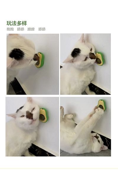 ENASHOP Catnipli Edible Cat Mint Herb Avocado-Shaped Play Ball Toy