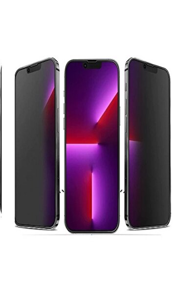 Apple İphone 12 Pro Max Mat Hayalet Ekran Koruyucu