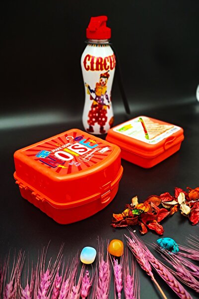 SWENCRAFT Lunch Box 4 Compartments 2 Layers and Sandwich Box 500 Cc Water Bottle 3-Piece Feeding Set Antibacterial