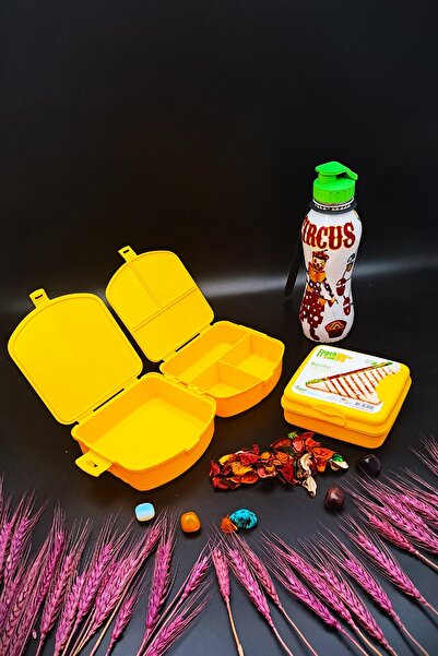 SWENCRAFT Lunch Box 4 Compartments 2 Layers and Sandwich Box 500 Cc Water Bottle 3-Piece Feeding Set Antibacterial