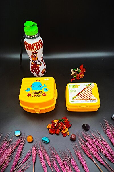 SWENCRAFT Lunch Box 4 Compartments 2 Layers and Sandwich Box 500 Cc Water Bottle 3-Piece Feeding Set Antibacterial