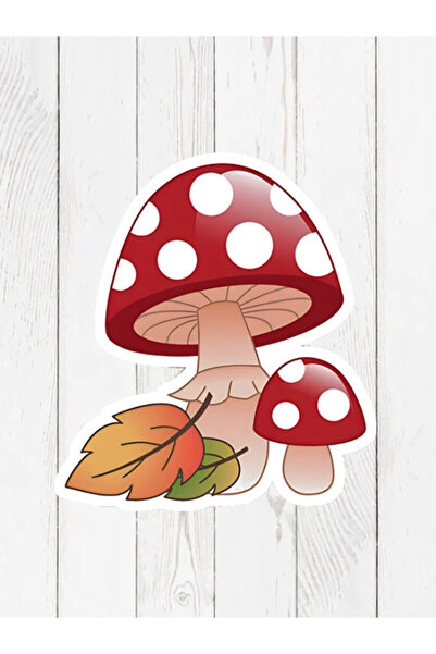 Colorix Carpet Özel Kesim Mantar Desenli Kaymaz Taban Paspas No: 149