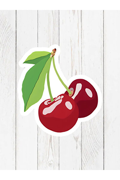 Colorix Carpet Özel Kesim Kiraz Desenli Kaymaz Taban Paspas No: 151