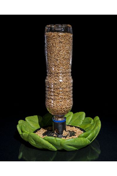 TuransoyCraft Decorative Natural Bird Food Holder