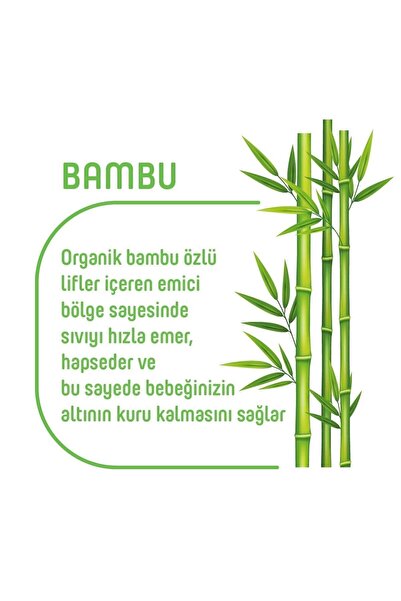Pure Baby Organik Bambu Özlü Külot Bez Tekli Paket 5 Numara Junior 40 Adet