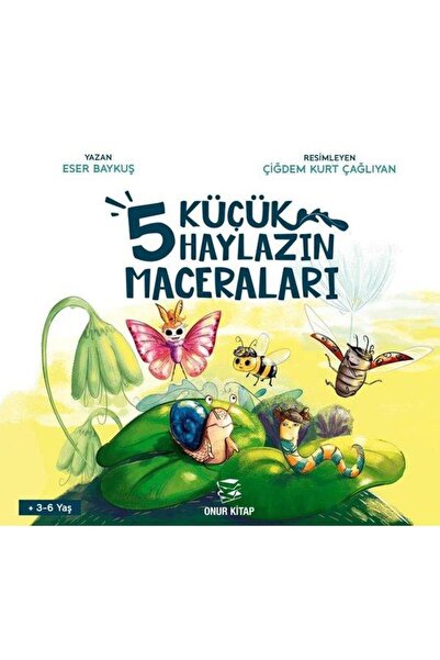 Onur Kitap 5 Küçük Haylazın Maceraları