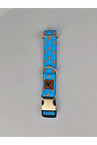 UTDpet Goldie Köpek Boyun Tasması