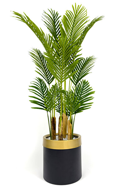BİÇİÇEK Areka palmiyesi 160cm metal saksıda black gold