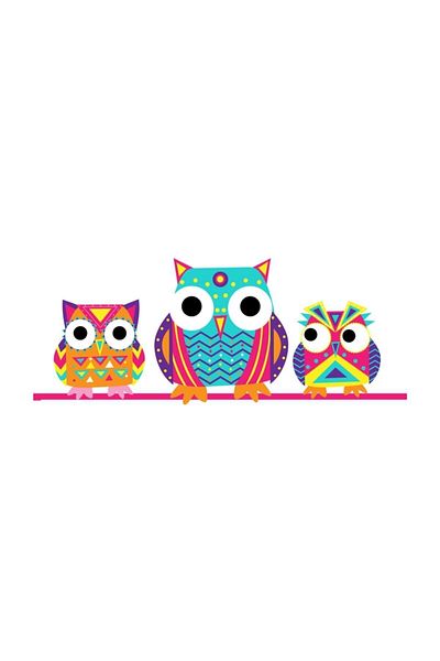 PAKLON Owls Large Folder