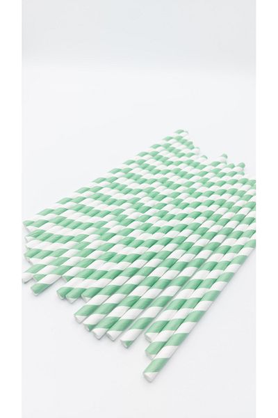 Pars Paper Straws 100 Pieces Diameter: 6 mm Length: 20 cm- Nature-Friendly Recyclable Paper Straws