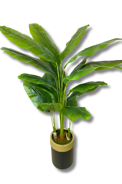 Cihan Çiçekçilik 3 Gövdeli 180 Cm Yapay Muz Ağacı 30x25 Gold Kemerli Siyah Saksı