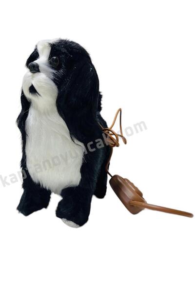 Kids Pilli Kumandalı Sesli Yürüyen Tasmalı Köpek