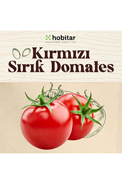 Genta Hobitar Kırmızı Sırık Domates Tohumu