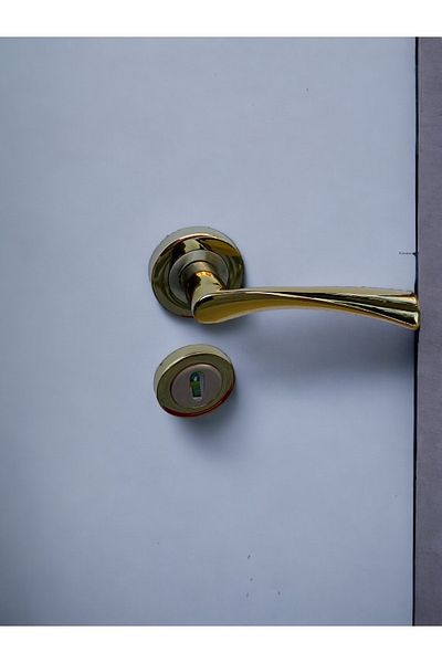 RENK YAPI RÜYASI AMERICAN DOOR HANDLE WECE DOOR HANDLE STURDY SPRING MECHANISM METAL CAST HANDLE LONG-LASTING GOLD COLOR