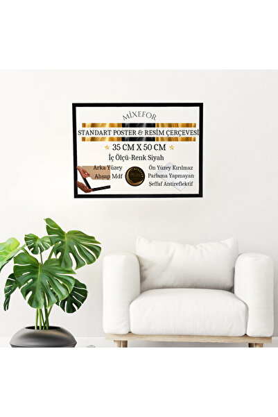 mixefor POSTER PICTURE PHOTO FRAME 35cmX 50cm SIZE FRONT SURFACE ANTI-REFLECTIVE BACK SURFACE WOOD MDF