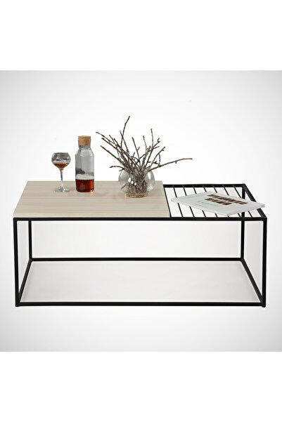 PASİFİC HOME Zinus Metal Orta Sehpa, Meşe