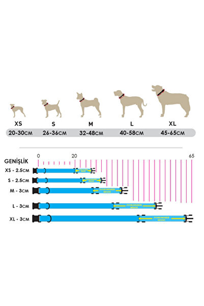 UTDpet Goldie Köpek Boyun Tasması