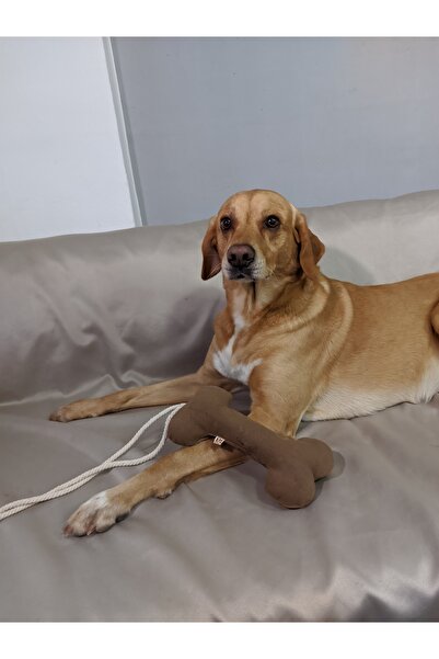 UTDpet Hoppie Sesli Top Köpek Oyuncağı + Bestie Çekiştirmeli Kemik Köpek Oyuncağı