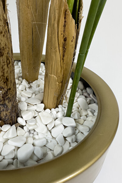 BİÇİÇEK Areka palmiyesi 160cm metal saksıda black gold