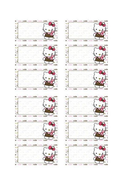 EyER Shoping Hello Kitty Kitap Defter Okul Etiketi 48 Adet Kesimli(ad-soyad i...