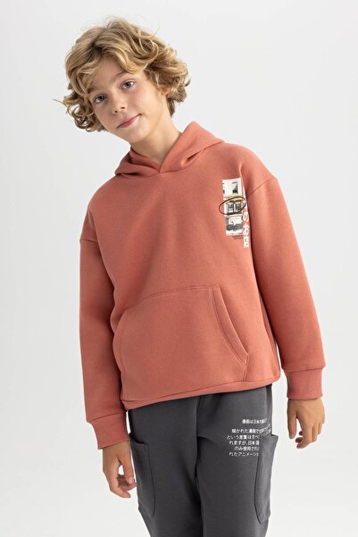 DeFacto Boy's Oversize Fit Hooded Thick Sweatshirt A8631A823Wn
