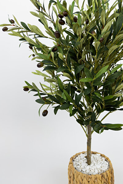 BİÇİÇEK Zeytin Ağacı 100 cm hasır bohem2 saksıda
