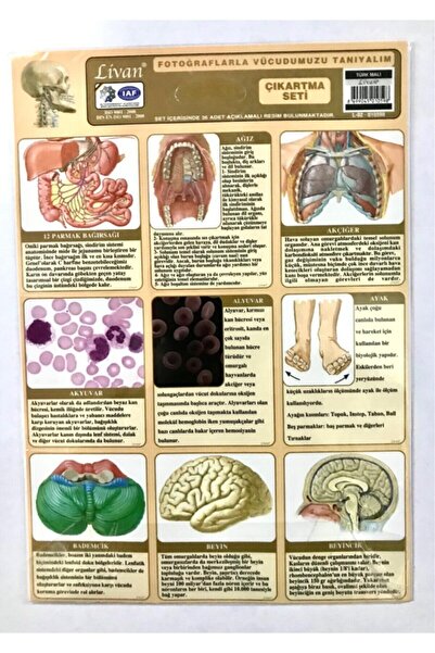 Livan Învață-ne corpul prin fotografii