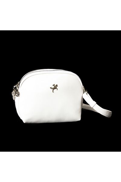 Nas Bag Geantă zilnică pentru poștaș pentru femei cu fermoar dublu (22 x 18)