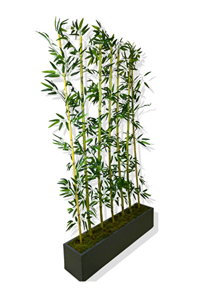 Cihan Çiçekçilik Bambu Seperatör 175 Cm 7 Adet Bambu 100 Cm Antrasit Saksı