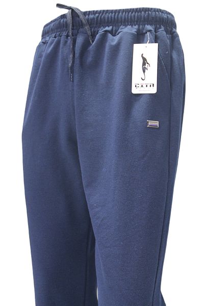 ÇİTA Ανδρικό Φούτερ Plus Size PM.1304