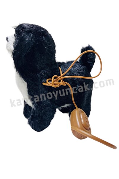 Kids Pilli Kumandalı Sesli Yürüyen Tasmalı Köpek