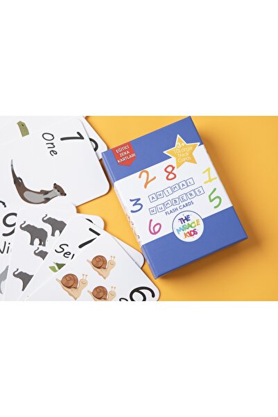 The Miracle Kids Animal Numbers Flash Cards