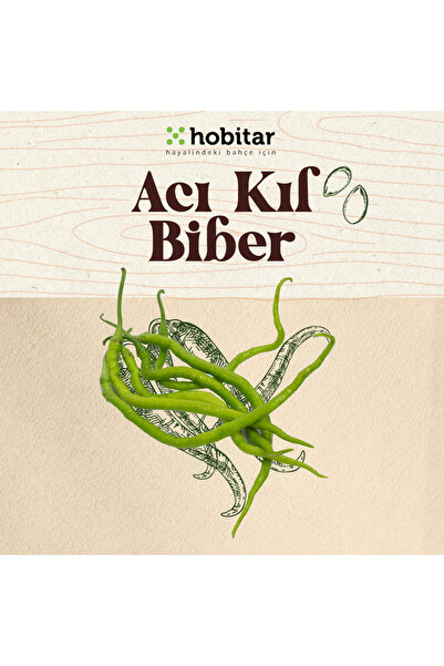 Genta Hobitar Acı Kıl Biber Tohumu