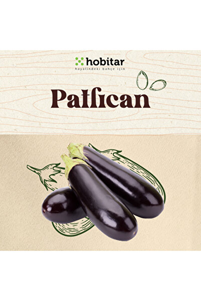 Genta Hobitar Patlıcan Tohumu