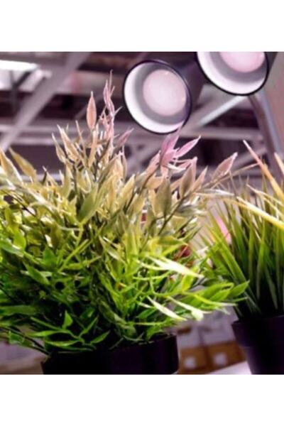 Sylvania Sylvanıa 75w E27 Duylu Grolux Akvaryum Ampülü