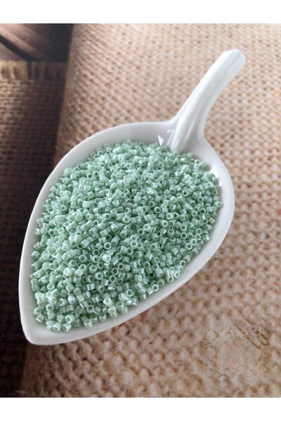 Bonanka 5 grame - numărul 221 - margele Miyuki Delica 11/0