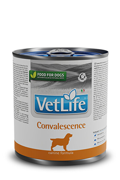 VETLİFE CONVALESCENCE DOG HASTA KÖPEK MAMASI 300GR