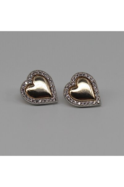 Hariqa Heart earrings with steels