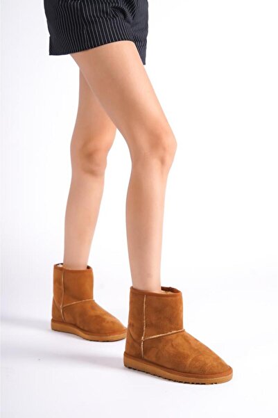 ibrahim müslü Kısa Taba Tüylü Bot