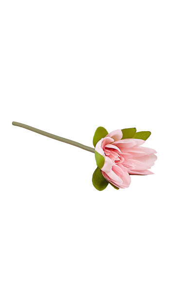 Paşabahçe Lotus 1 Adet