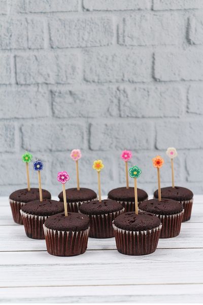 Yusuf Dirik YD Party Supplies Mini Cupcake 25 Pieces Themed Presentation Sausage Ice Cream Rice Pudding