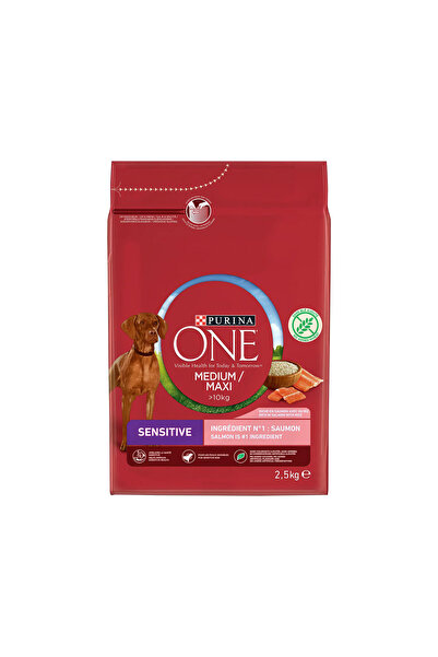 Purina One Yetişkin Köpekler İçin Somonlu 2.5 Kg