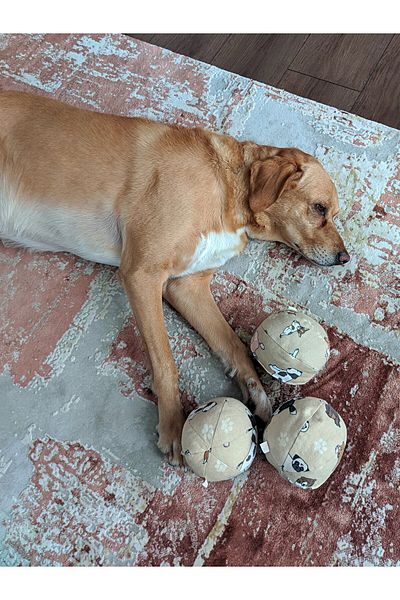 UTDpet Hoppie Sound Ball Dog Toy + Hexie Traction Bone Dog Toy