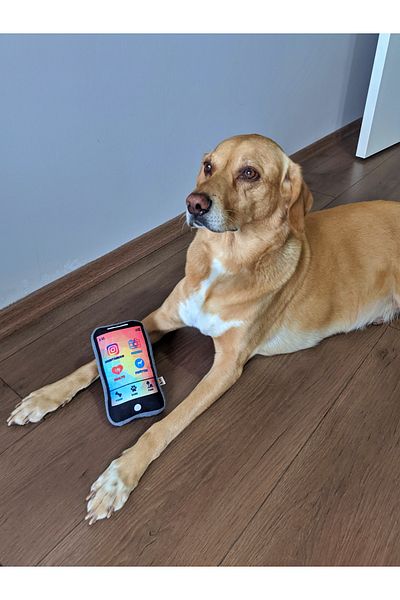 UTDpet Pawphone Mobile Phone Dog Toy with Sound + Bestie Traction Bone Dog Toy