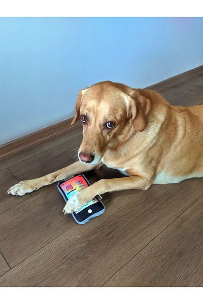 UTDpet Pawphone Mobile Phone Dog Toy with Sound + Chicky Sound Bone Dog Toy
