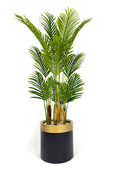 BİÇİÇEK Areka palmiyesi 160cm metal saksıda black gold